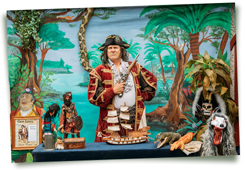 Pirate birthday party puppet show